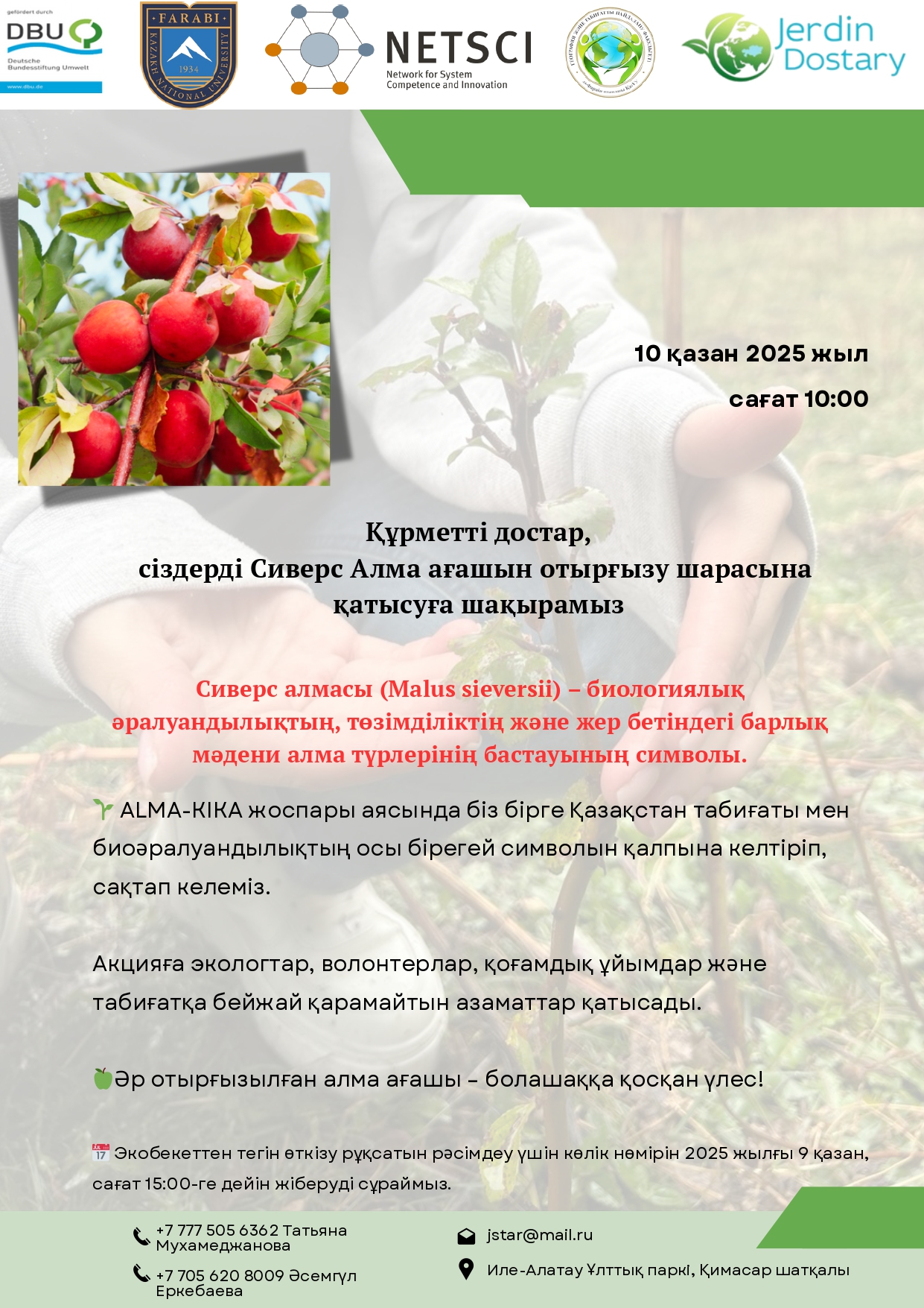 ✅ Іс-шара: Сиверс алмасының көшеттерін отырғызу